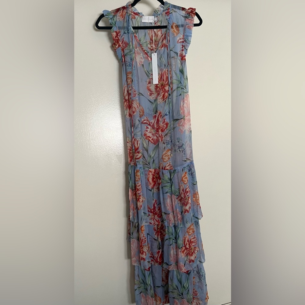 Silk Christy Lynn Sheer Floral Ethereal Spring Dress- size Small